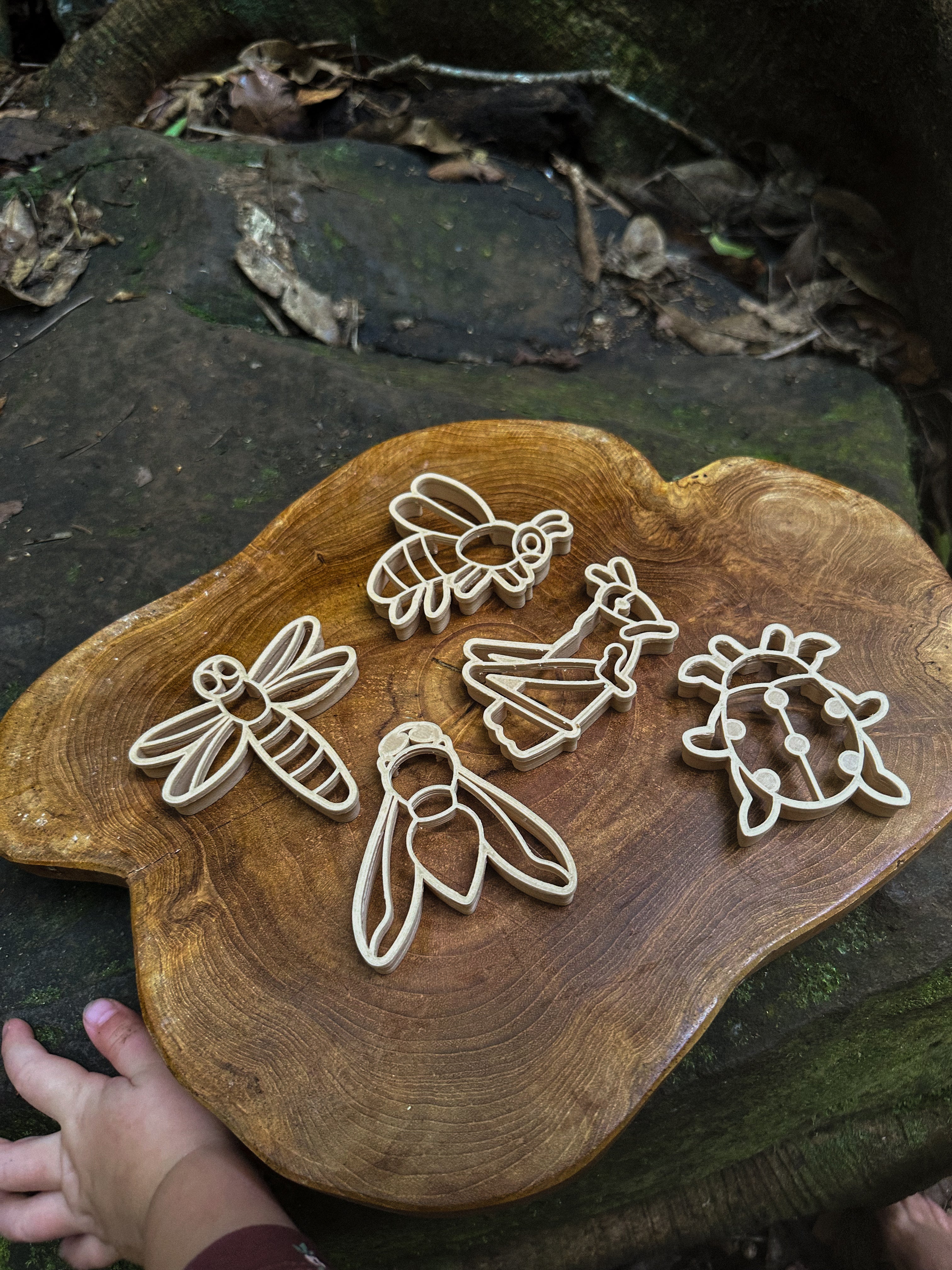 Mini Insect Eco Cutter Set