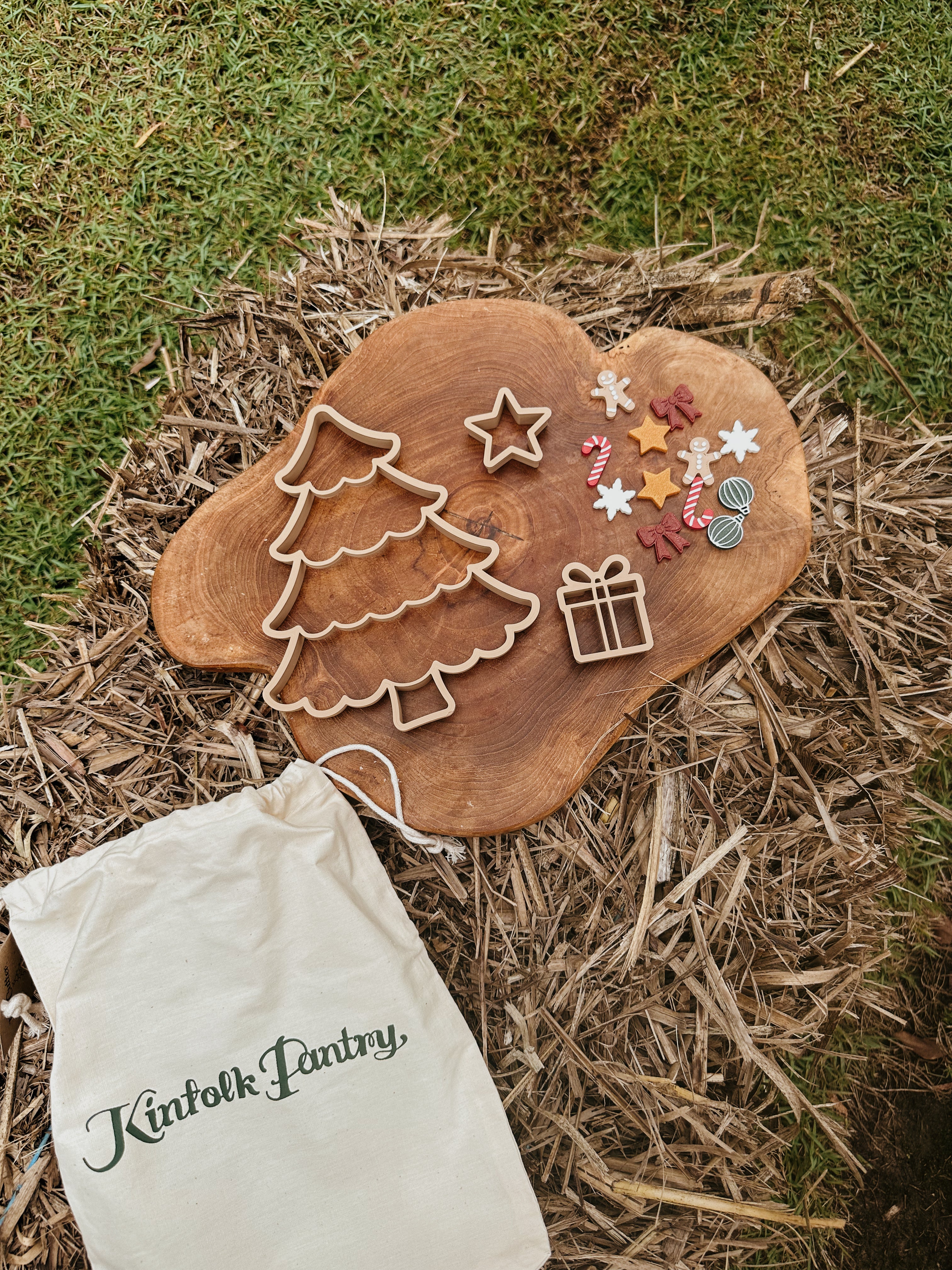 Christmas Tree Playdough Decorating Kit