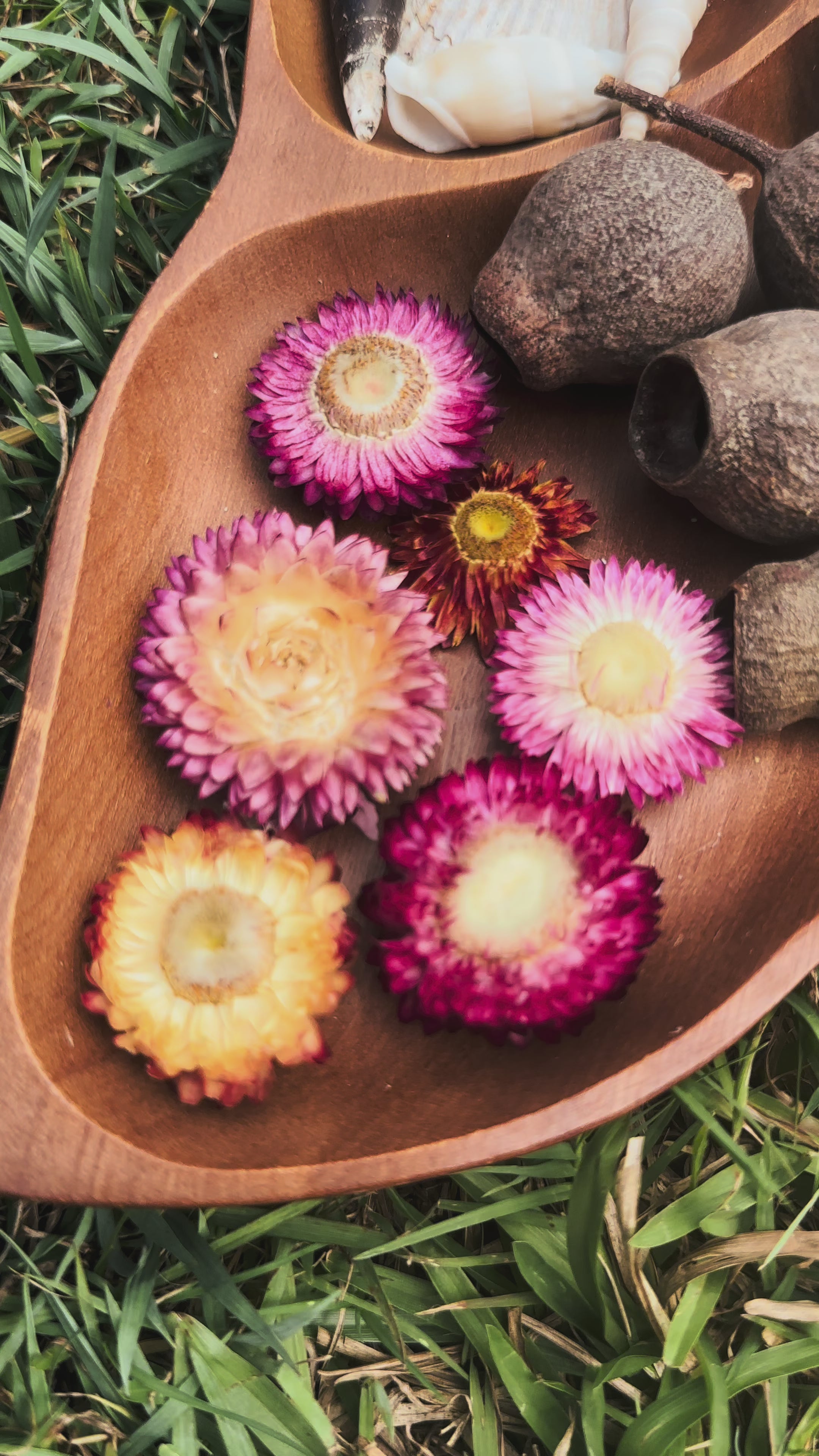 Nature Play Loose Parts