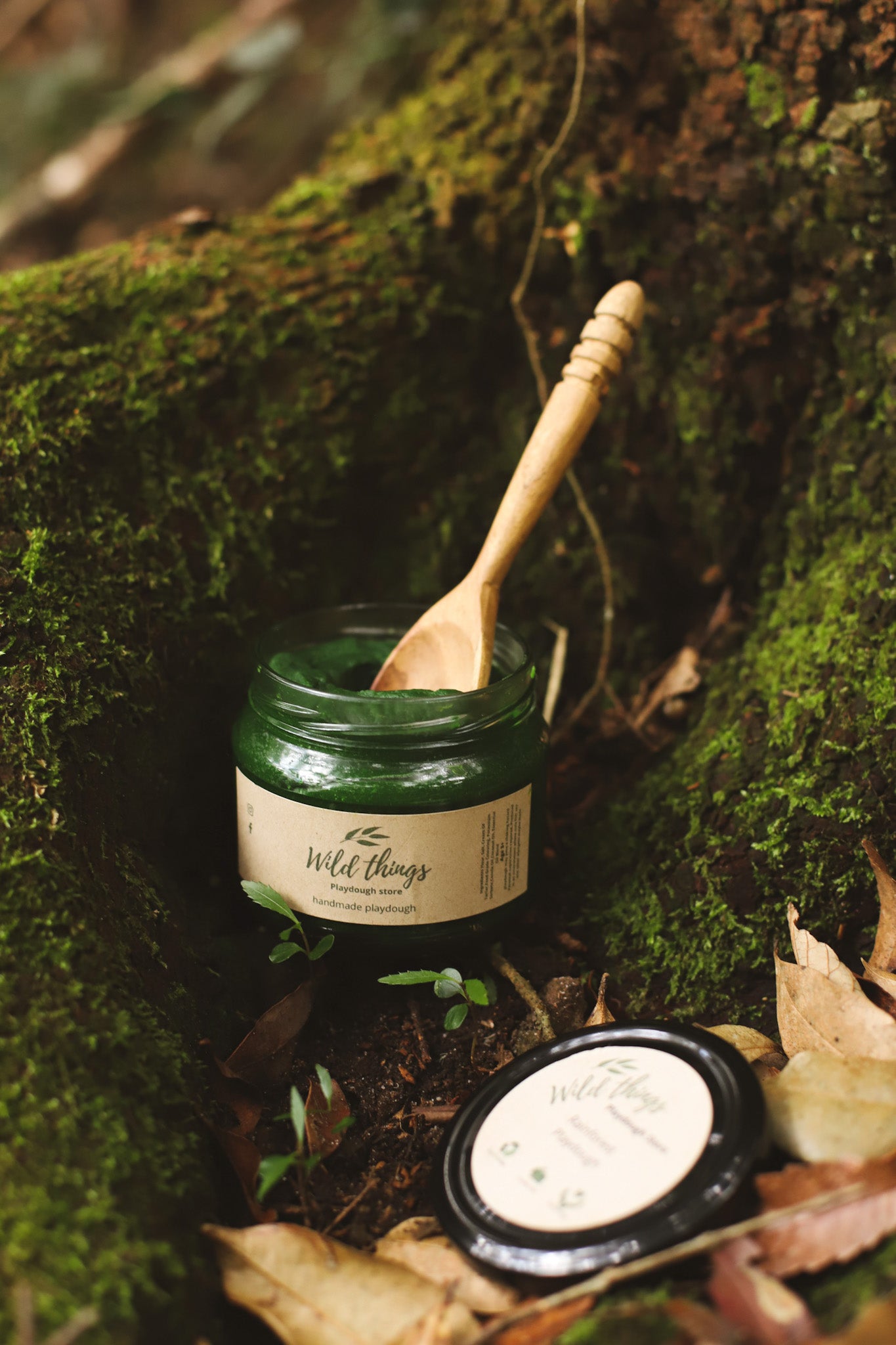 Rainforest Playdough